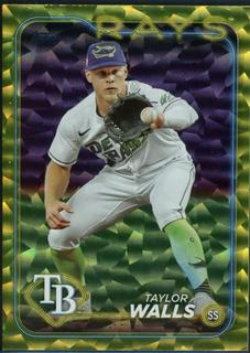 Taylor Walls