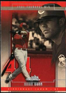 Adam Dunn