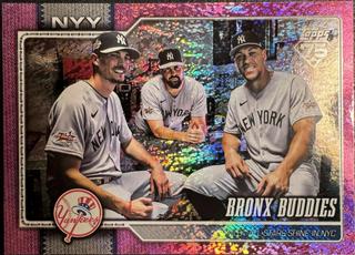 Bronx Buddies