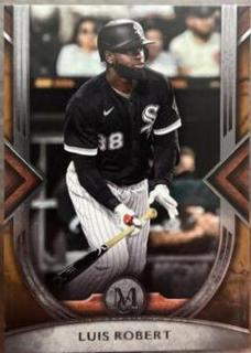 Luis Robert