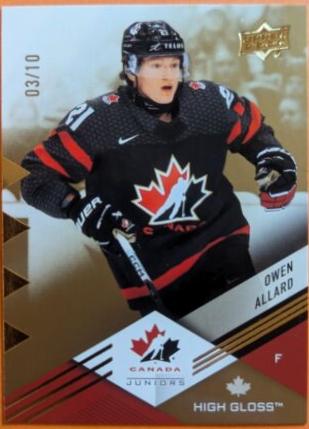 Owen Allard [High Gloss] #14