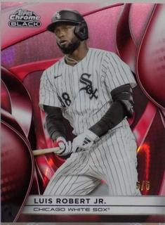 Luis Robert Jr.