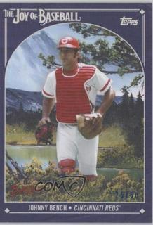 Johnny Bench