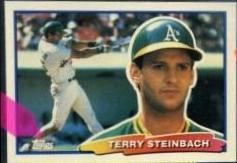 Terry Steinbach