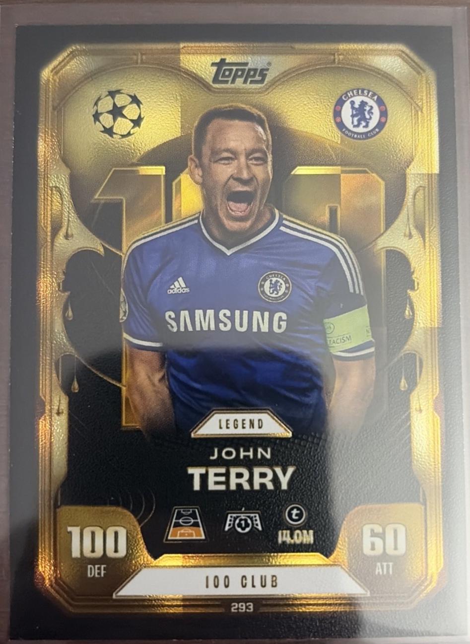 John Terry #293