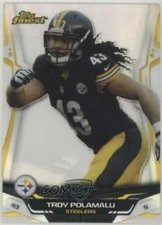 Troy Polamalu