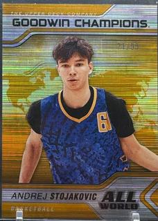 Andrej Stojakovic