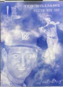 Ted Williams