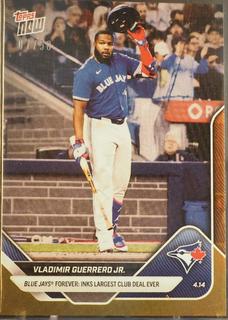 Vladimir Guerrero Jr.