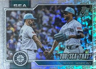 You 'Sea' That?