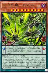 Power Patron Shadow Machine Zegredo BLZD-JP012