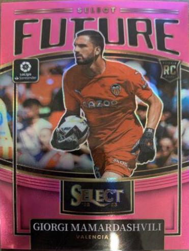Giorgi Mamardashvili [Pink] #22