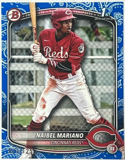 Naibel Mariano