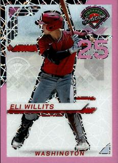Eli Willits