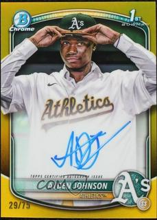 Ayden Johnson