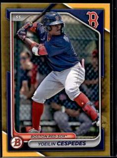 Yoeilin Cespedes