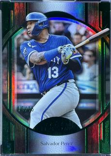 Salvador Perez