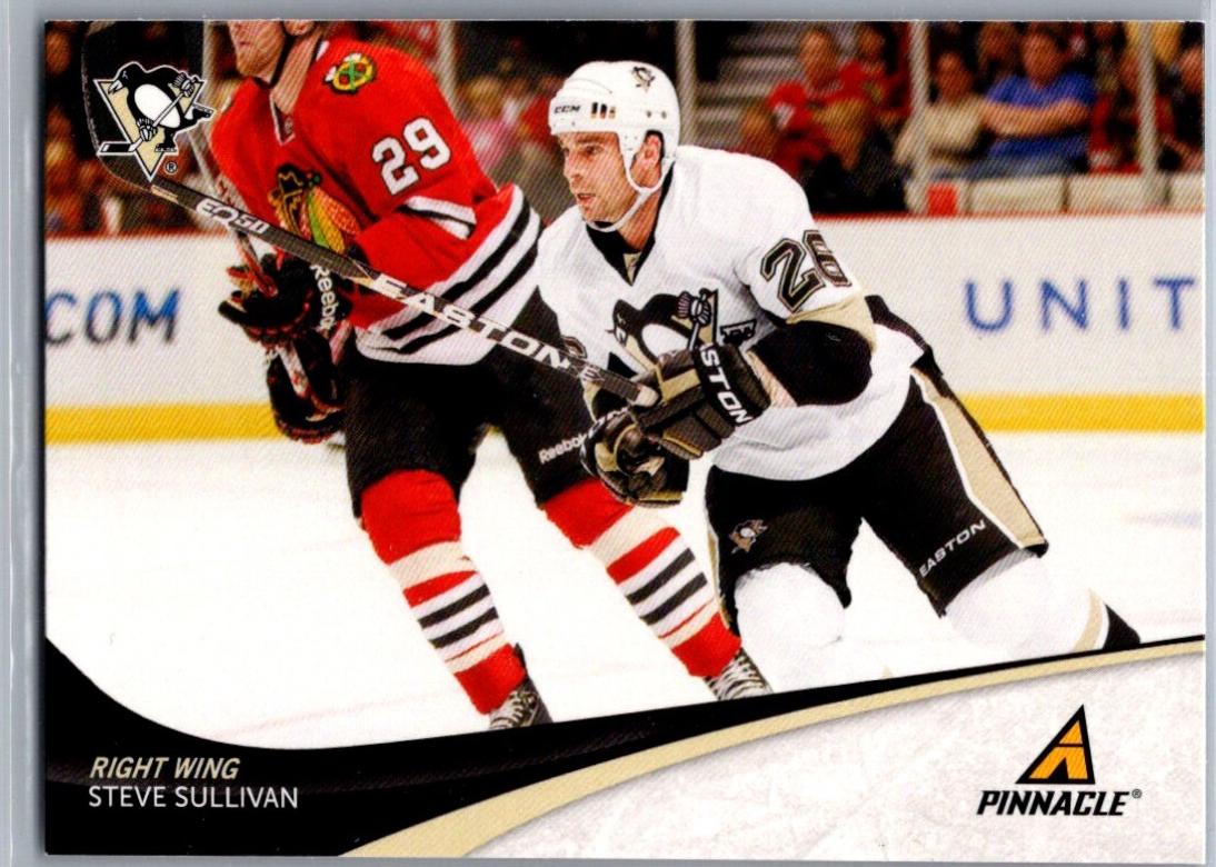 Steve Sullivan #142