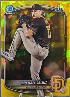 Michael Salina