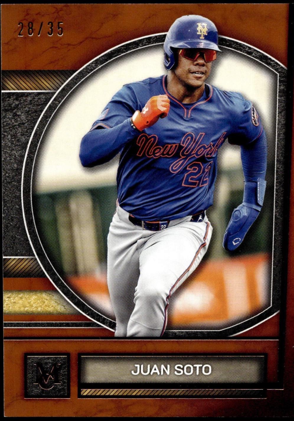 Juan Soto [Bronze] #24