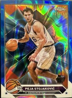 Peja Stojakovic