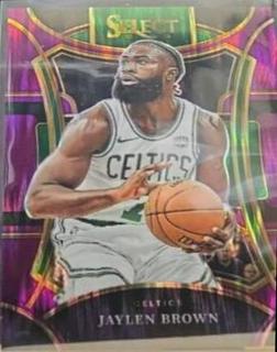 Jaylen Brown