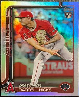 Michael Darrell-Hicks