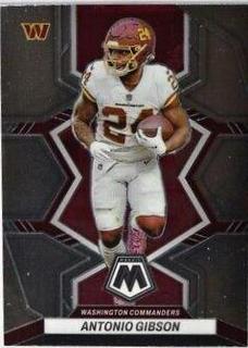 Antonio Gibson