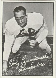 Tony Pajaczkowski