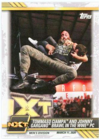 Tommaso Ciampa and Johnny Gargano Brawl in the WWE PC #7 Wrestling Cards 2021 Topps WWE NXT