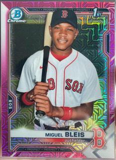 Miguel Bleis