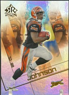 Rudi Johnson