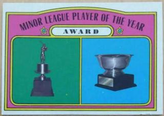 Minor League Player of the Year