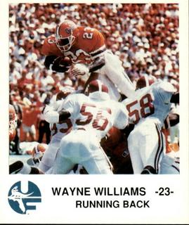 Wayne Williams