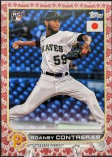Roansy Contreras