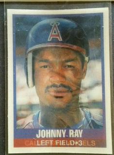Johnny Ray