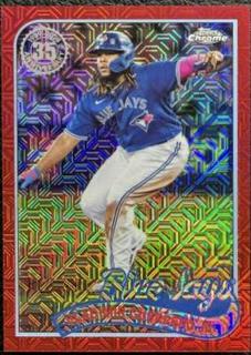 Vladimir Guerrero Jr.