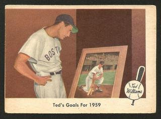 Ted's Goals for 1959