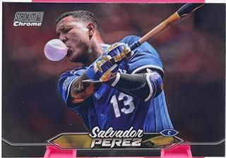 Salvador Perez