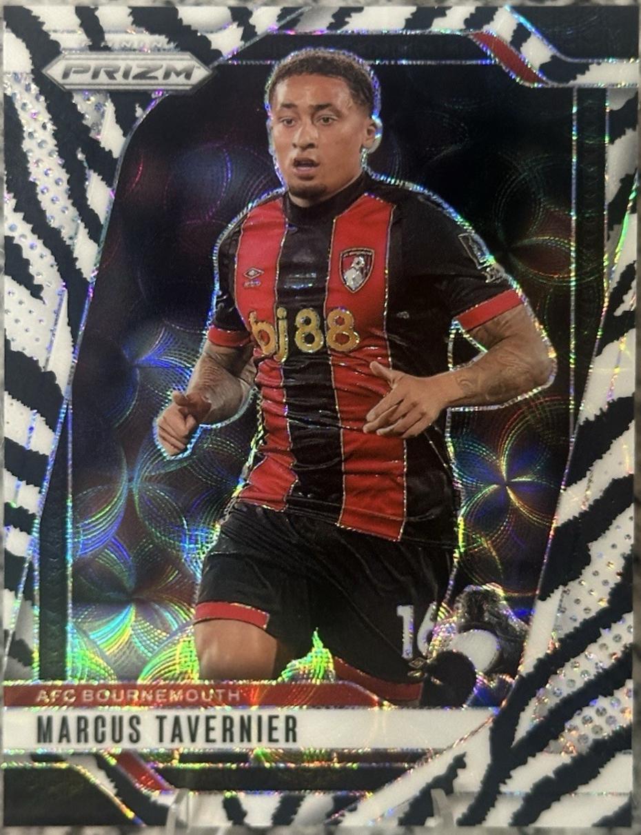 Marcus Tavernier [Choice Zebra] #191