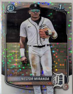 Nestor Miranda