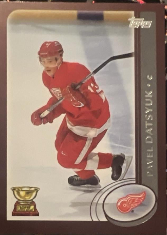 Pavel Datsyuk #235