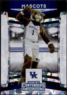 The Wildcat