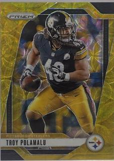 Troy Polamalu