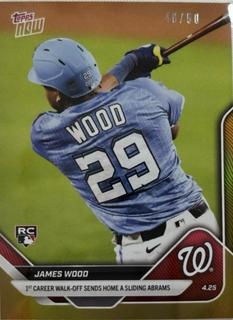 James Wood