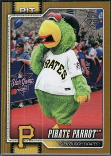Pirate Parrot Pittsburgh Pirates