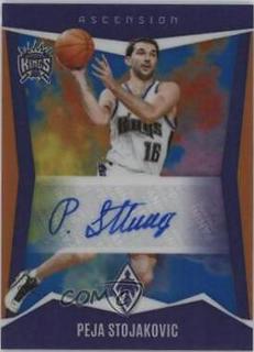 Peja Stojakovic