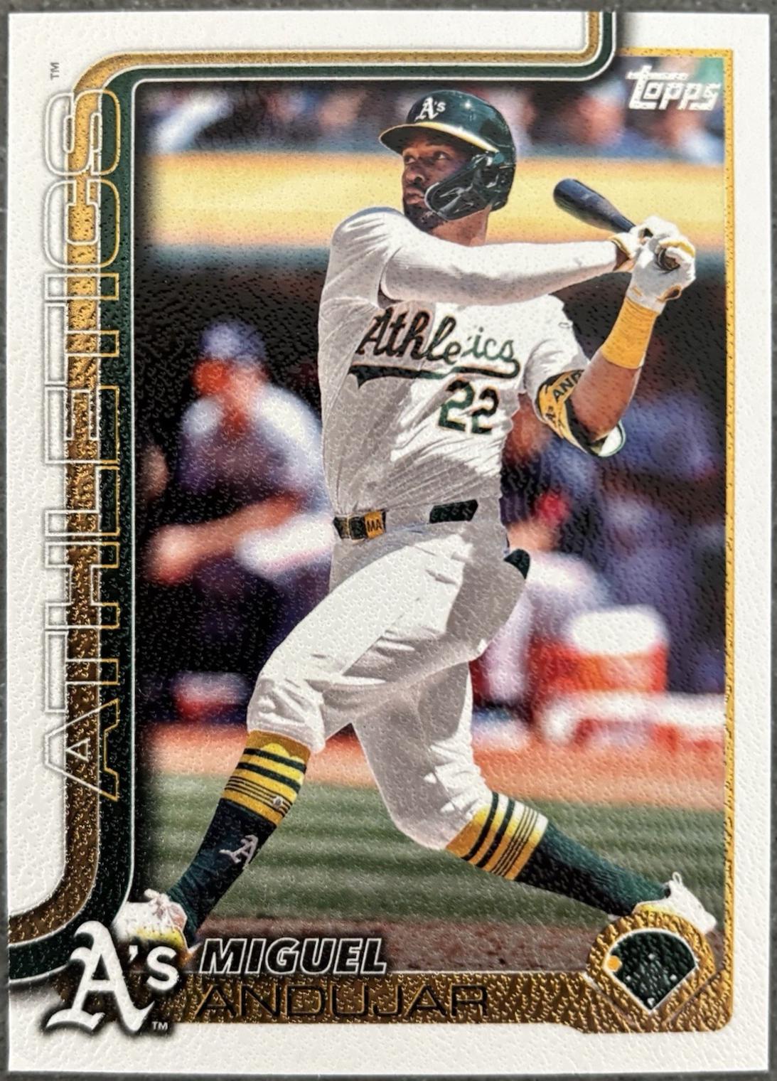 Miguel Andujar [Canvas] #529