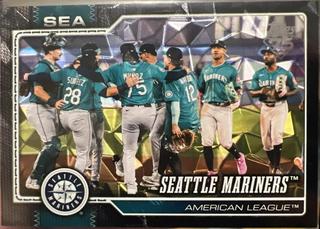 Team Card