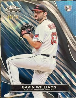 Gavin Williams